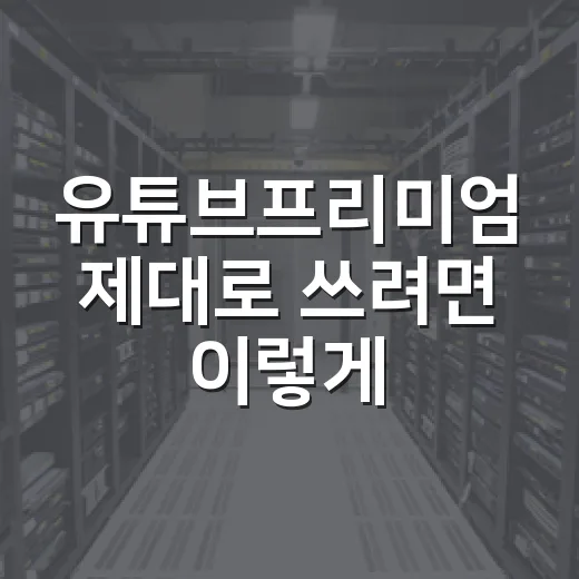 유튜브프리미엄 제대로 쓰려면 이렇게 고르세요: 운전·출퇴근 기준 활용 방법 - 요약