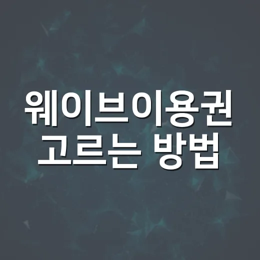 웨이브이용권 고르는 방법, 차 안팎에서 쓰는 사람 기준으로 이렇게 선택하세요 - 요약
