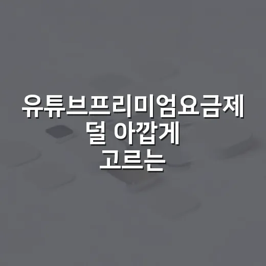 유튜브프리미엄요금제 덜 아깝게 고르는 방법 - 요약