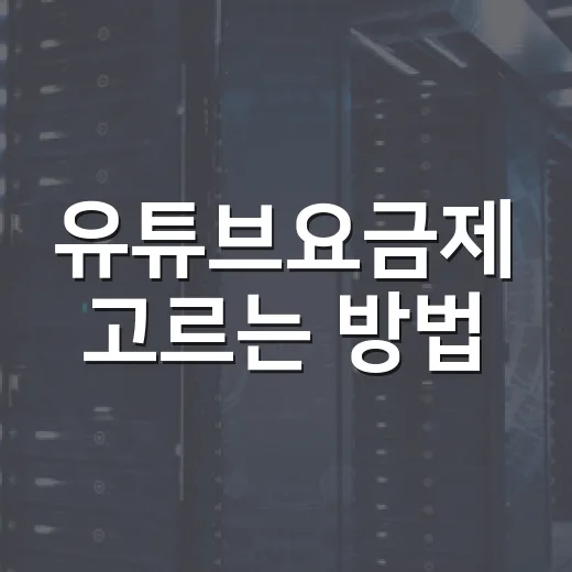 유튜브요금제 고르는 방법, 운전 중 음악·영상 이용 패턴별로 이렇게 선택하세요 - 요약