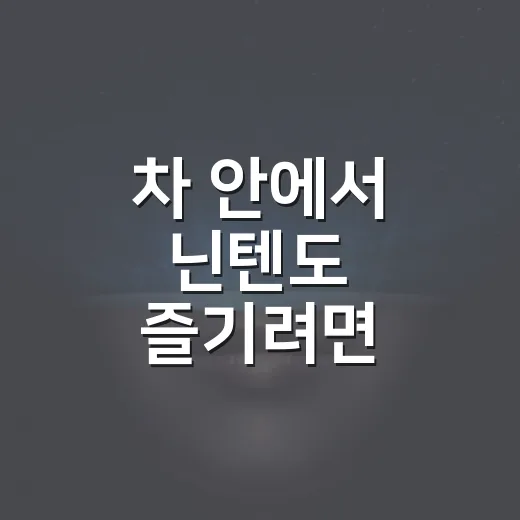 차 안에서 닌텐도 즐기려면 이렇게 준비하는 방법 - 요약