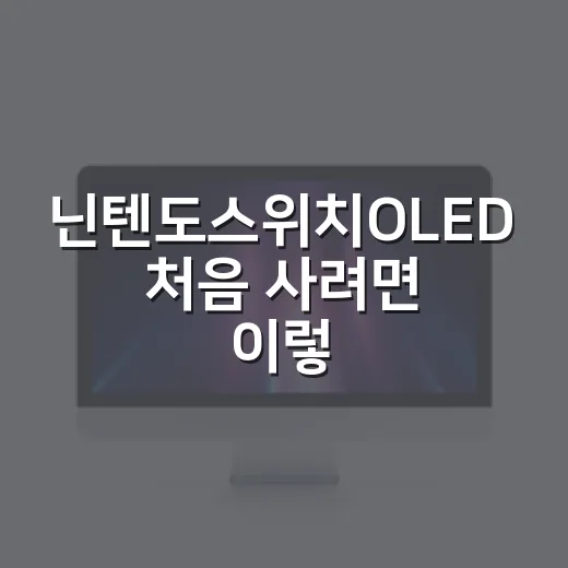 닌텐도스위치OLED 처음 사려면 이렇게 고르면 됩니다 - 요약