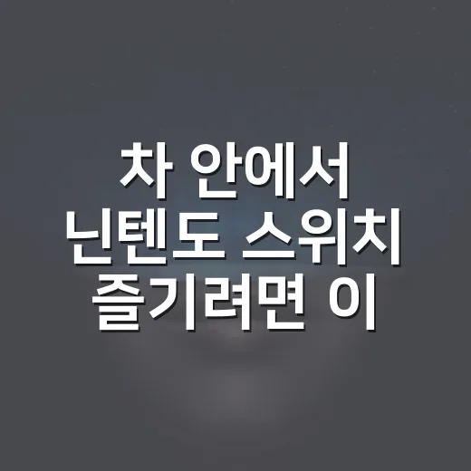 차 안에서 닌텐도 스위치 즐기려면 이렇게 준비하는 방법 - 요약