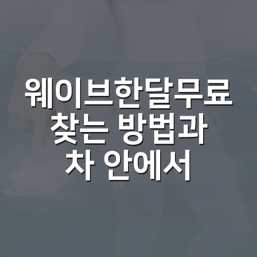 웨이브한달무료 찾는 방법과 차 안에서 쓰기 전에 확인할 할인 포인트 - 요약