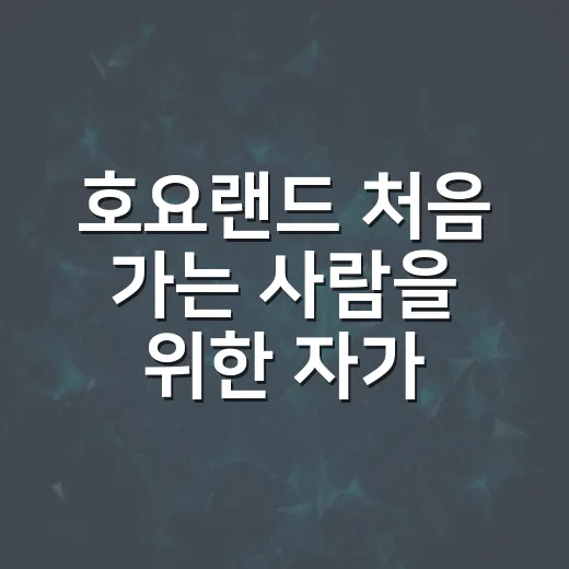 호요랜드 처음 가는 사람을 위한 자가용 이동과 주차 준비 방법 - 요약