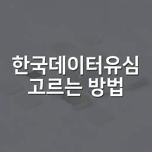 한국데이터유심 고르는 방법: 렌터카 내비와 주차앱까지 끊기지 않게 쓰려면 - 요약