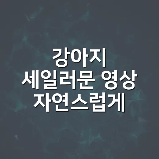 강아지 세일러문 영상 자연스럽게 만드는 방법 - 요약