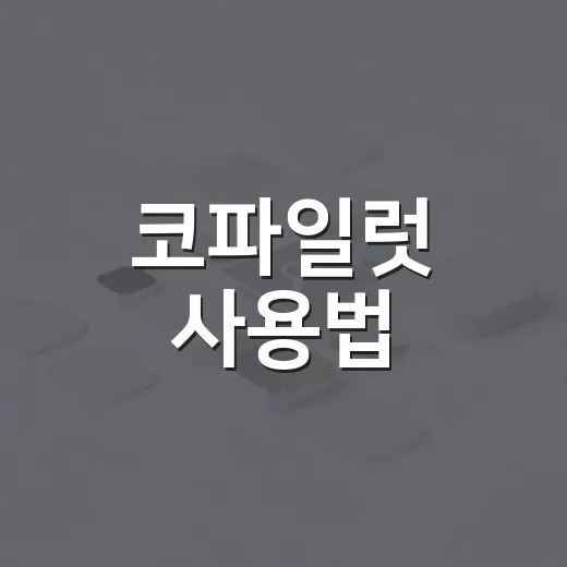 코파일럿 사용법, 초보 운전자가 안전하게 익히는 방법 - 요약