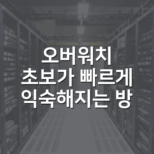 오버워치 초보가 빠르게 익숙해지는 방법 - 요약