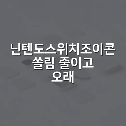 닌텐도스위치조이콘 쏠림 줄이고 오래 쓰는 방법 - 요약