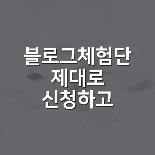 블로그체험단 제대로 신청하고 만족도 높이는 방법 - 요약