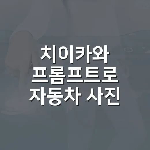 치이카와 프롬프트로 자동차 사진 꾸미는 방법 - 요약