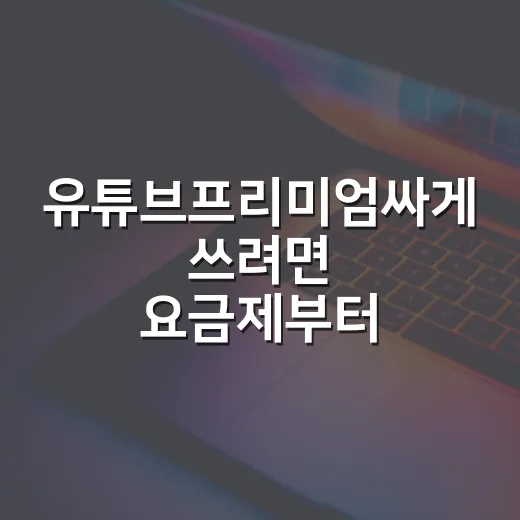 유튜브프리미엄싸게 쓰려면 요금제부터 바꾸는 방법 - 요약