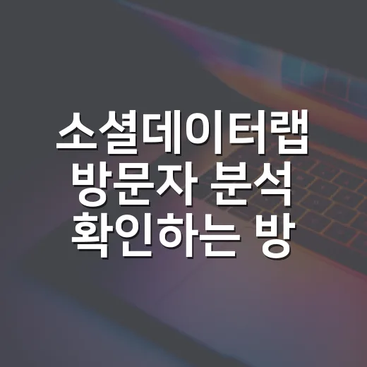 소셜데이터랩 방문자 분석 확인하는 방법 - 요약