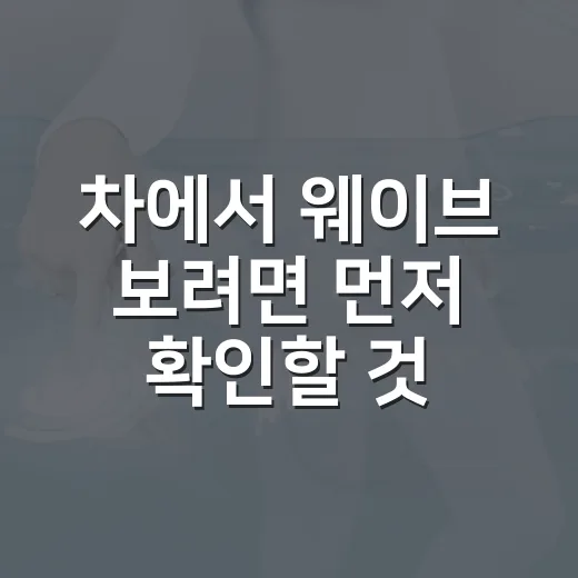 차에서 웨이브 보려면 먼저 확인할 것들 - 요약
