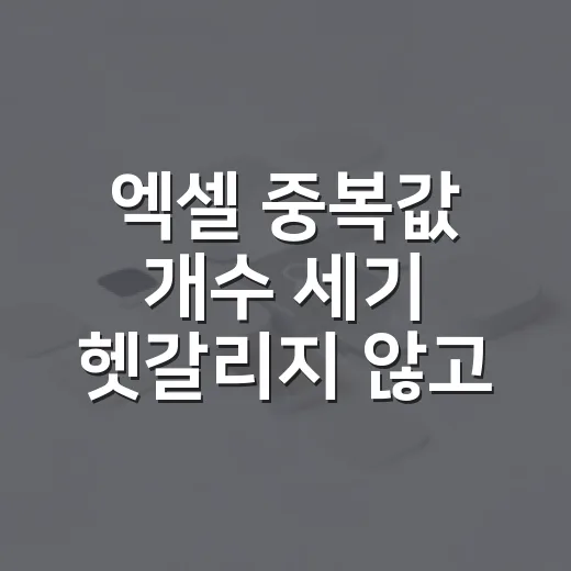 엑셀 중복값 개수 세기 헷갈리지 않고 하는 방법 - 요약