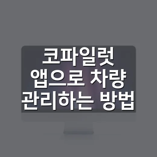코파일럿 앱으로 차량 관리하는 방법 - 요약