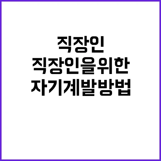 직장인을 위한 효과적인 자기계발 방법 - 요약