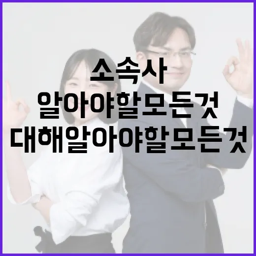 솔트 소속사에 대해 알아야 할 모든 것 - 요약