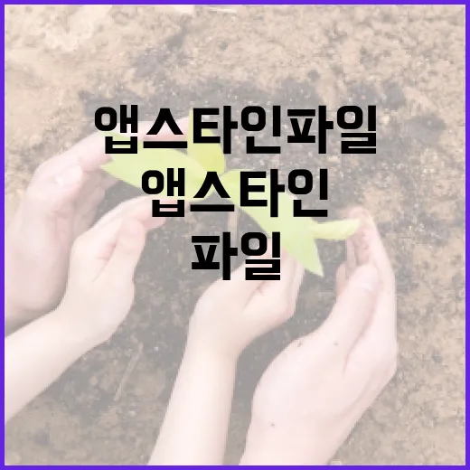 앱스타인 파일 활용하는 방법 - 요약