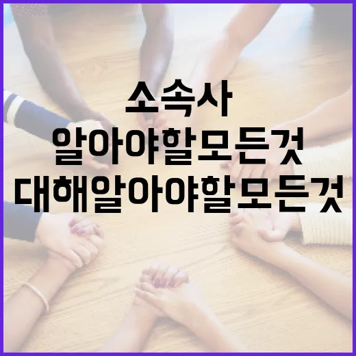 솔트 소속사에 대해 알아야 할 모든 것 - 요약