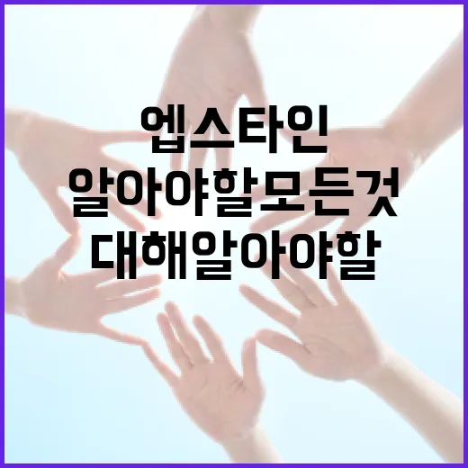 엡스타인에 대해 알아야 할 모든 것 - 요약