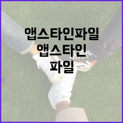 앱스타인 파일을 효과적으로 관리하는 방법 - 요약