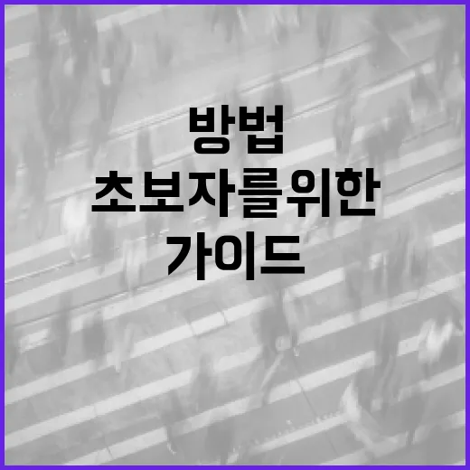 코코초이를 활용하는 방법: 초보자를 위한 가이드 - 요약