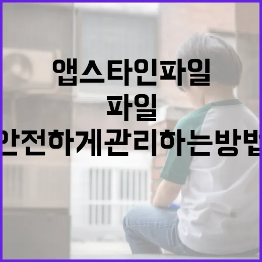 앱스타인 파일을 안전하게 관리하는 방법 - 요약