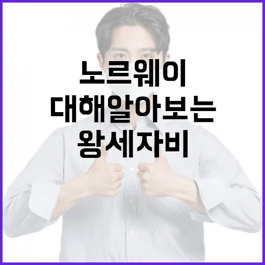노르웨이 왕세자비에 대해 알아보는 방법 - 요약