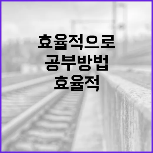 전한길의 공부 방법으로 효율적으로 학습하는 방법 - 요약