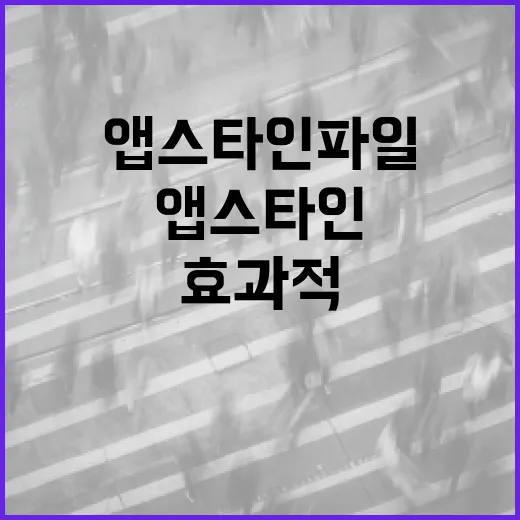 앱스타인 파일을 효과적으로 사용하는 방법 - 요약