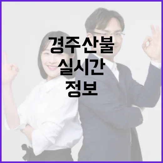 경주 산불 실시간 정보를 확인하는 방법 - 요약