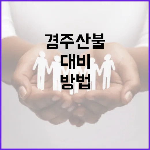 경주 산불에 대비하는 방법 - 요약