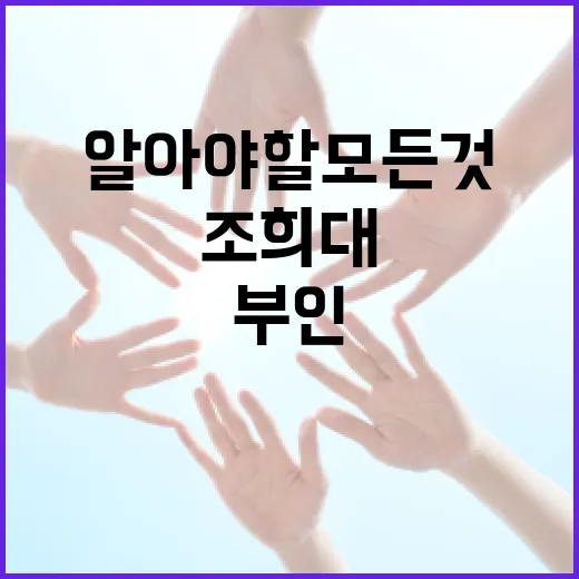 조희대부인에 대해 알아야 할 모든 것 - 요약