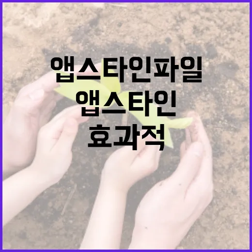 앱스타인 파일을 효과적으로 사용하는 방법 - 요약