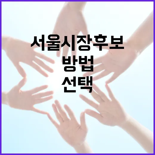 서울시장 후보를 선택하는 방법 - 요약