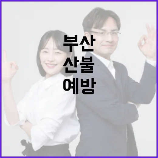 부산 산불 예방 및 대처 방법 - 요약