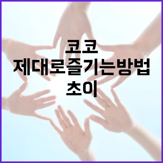 코코초이를 제대로 즐기는 방법 - 요약