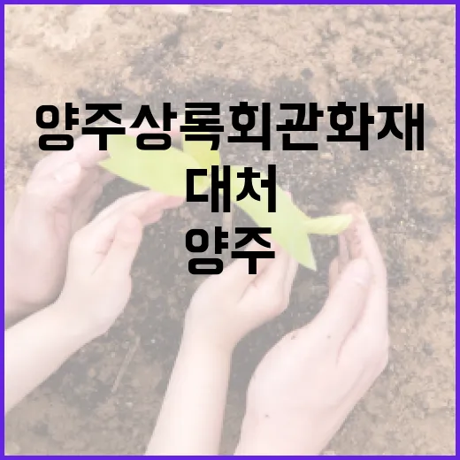 양주 상록회관 화재에 대처하는 방법 - 요약