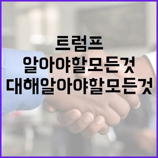 트럼프 임기에 대해 알아야 할 모든 것 - 요약