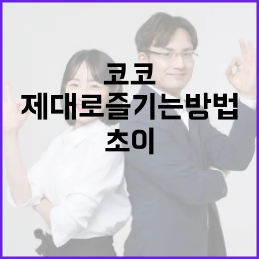 코코초이를 제대로 즐기는 방법 - 요약