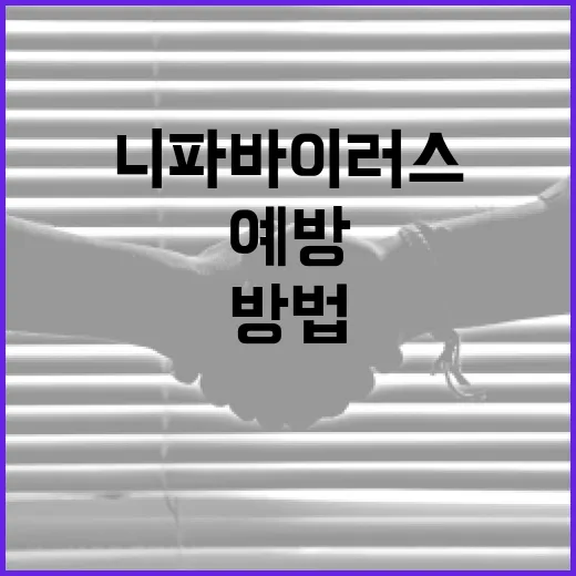 니파바이러스를 이해하고 예방하는 방법 - 요약
