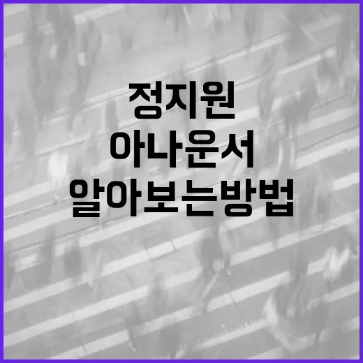 정지원 아나운서에 대해 알아보는 방법 - 요약