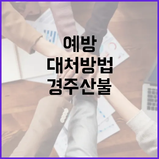 경주 산불 대처 방법과 예방을 위한 팁 - 요약