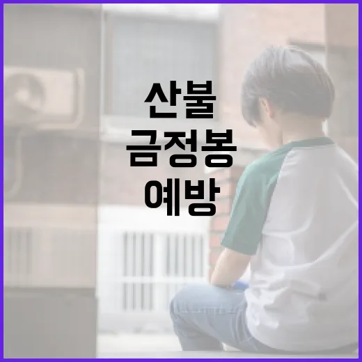 금정봉 산불을 예방하고 대처하는 방법 - 요약