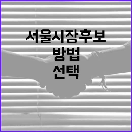 서울시장 후보를 선택하는 방법 - 요약