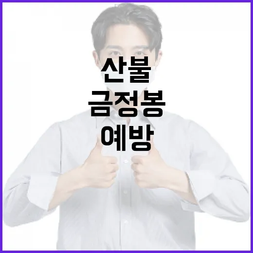금정봉 산불 예방 및 대처 방법 알아보기 - 요약