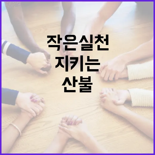 원동 산불을 예방하는 방법: 자연을 지키는 작은 실천 - 요약