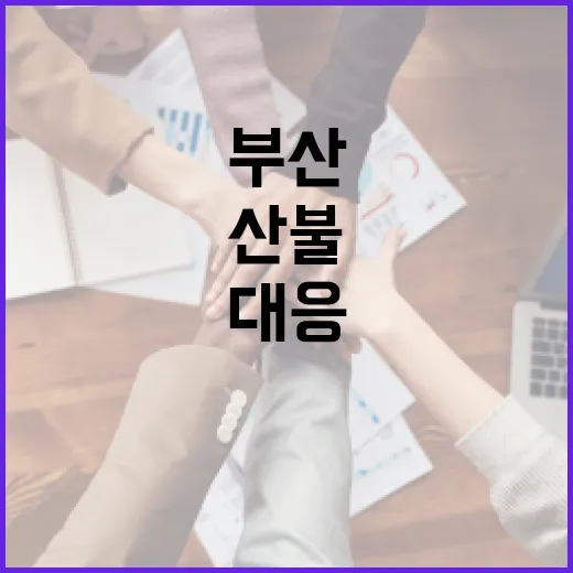 부산 산불을 예방하고 대응하는 방법 - 요약